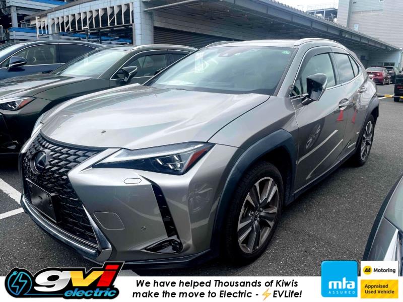 2022 Lexus UX 300e