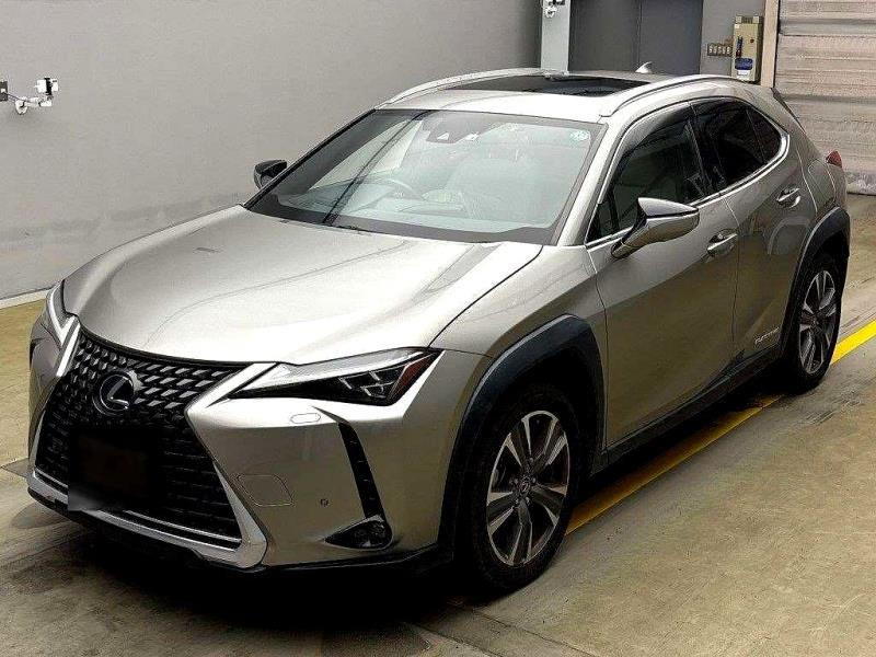2022 Lexus UX 300e