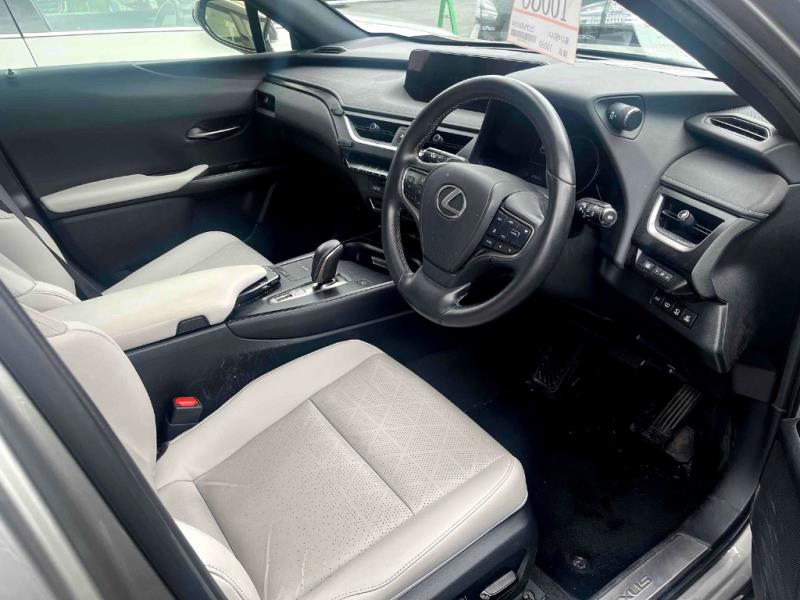 2022 Lexus UX 300e