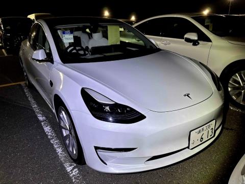2021 Tesla Model 3 Long Range - Thumbnail