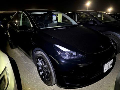 2023 Tesla Model Y - Thumbnail