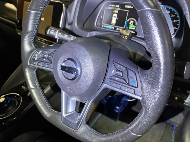 2020 Nissan Leaf e+ G 62kWh