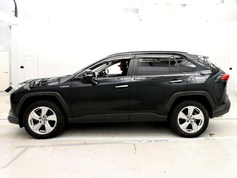 2019 Toyota Rav4 Hybrid 4WD - Thumbnail