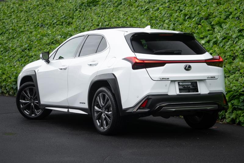 2019 Lexus UX 250h F Sport