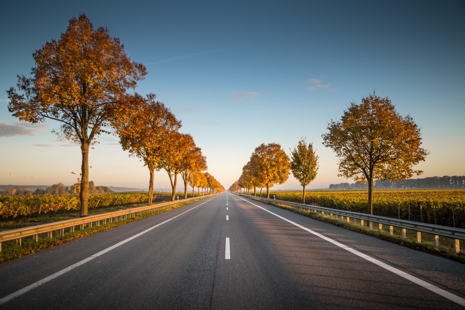 A long road stretching out into the distance, lined on either side by green trees, and a blue sky overhead.